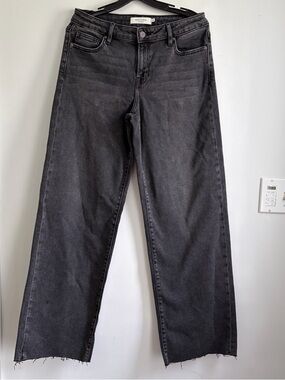 HIDDEN Blake Mid-Rise Wide Leg Raw Hem Faded Black Denim Jeans - 29